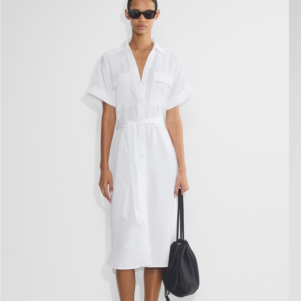 {Aritzia} Network Dress